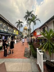 Kampong Glam Conservation Area (D7), Shop House #558533181